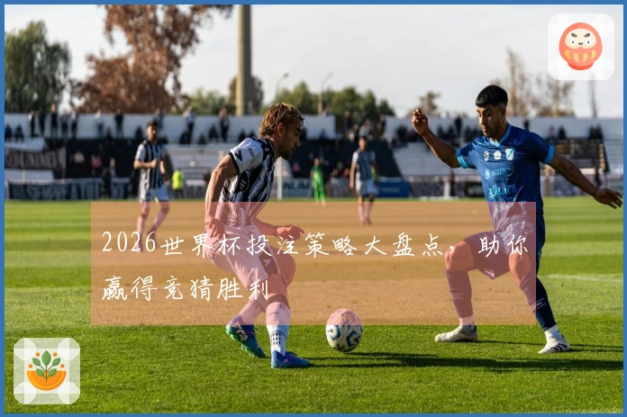 2026世界杯投注策略大盘点，助你赢得竞猜胜利