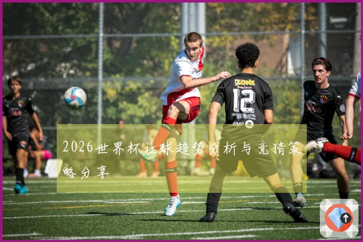 2026世界杯让球趋势分析与竞猜策略分享