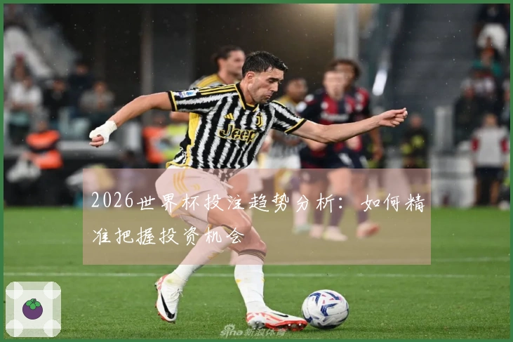 2026世界杯投注趋势分析：如何精准把握投资机会
