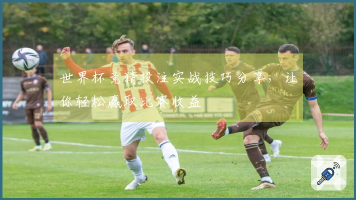 世界杯竞猜投注实战技巧分享，让你轻松赢取比赛收益