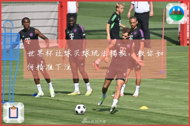 世界杯让球买球玩法揭秘，教你如何精准下注