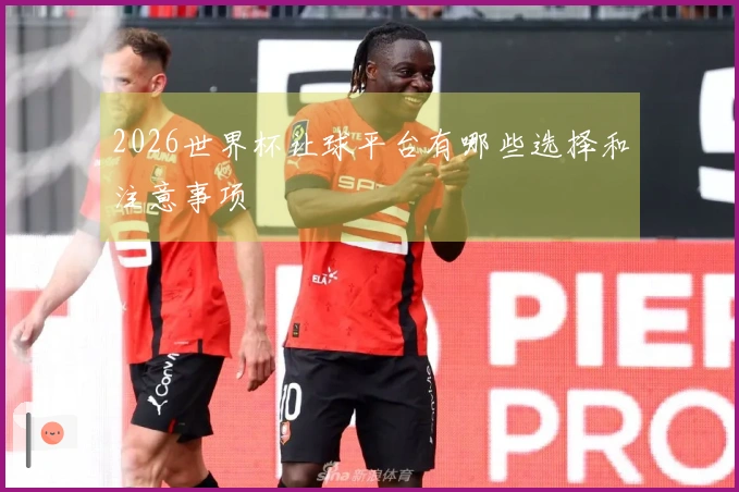 2026世界杯让球平台有哪些选择和注意事项
