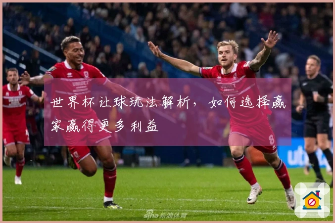 世界杯让球玩法解析，如何选择赢家赢得更多利益