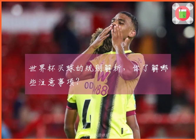 世界杯买球的规则解析，你了解哪些注意事项？