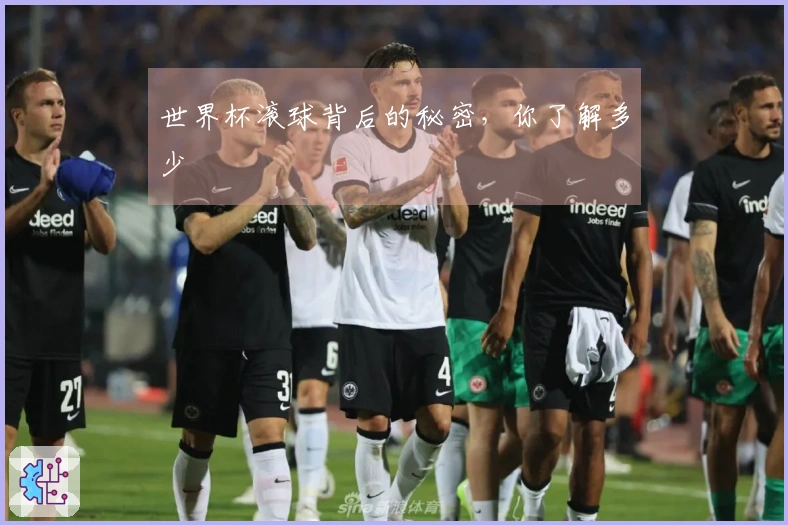世界杯滚球背后的秘密，你了解多少