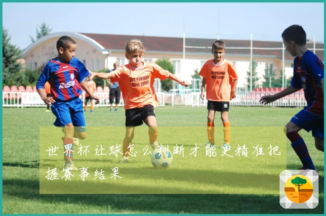 世界杯让球怎么判断才能更精准把握赛事结果