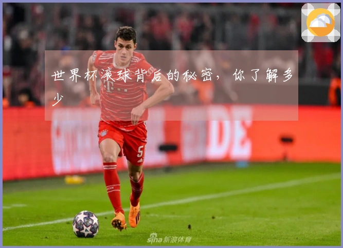 世界杯滚球背后的秘密，你了解多少