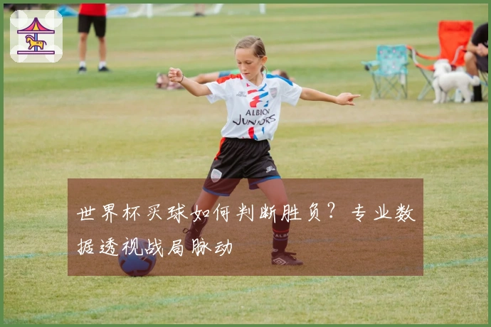 世界杯买球如何判断胜负？专业数据透视战局脉动