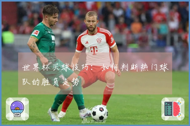 世界杯买球技巧：如何判断热门球队的胜负走势