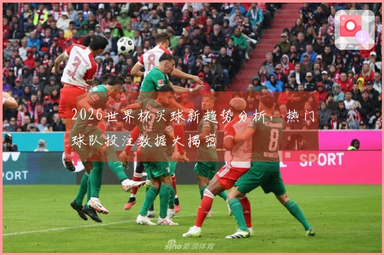 2026世界杯买球新趋势分析，热门球队投注数据大揭密